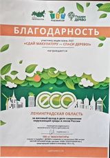 2021г
